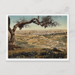Postal Del Monte Scopus, Jerusalén, el Ph clásico de Tier