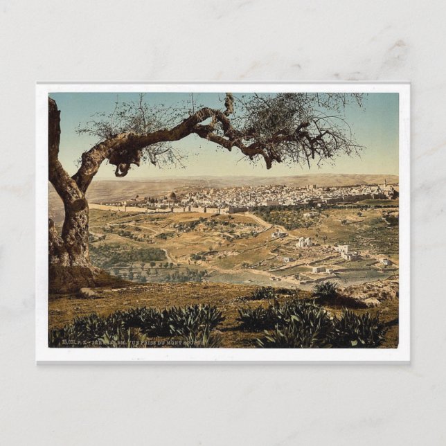 Postal Del Monte Scopus, Jerusalén, el Ph clásico de Tier (Anverso)