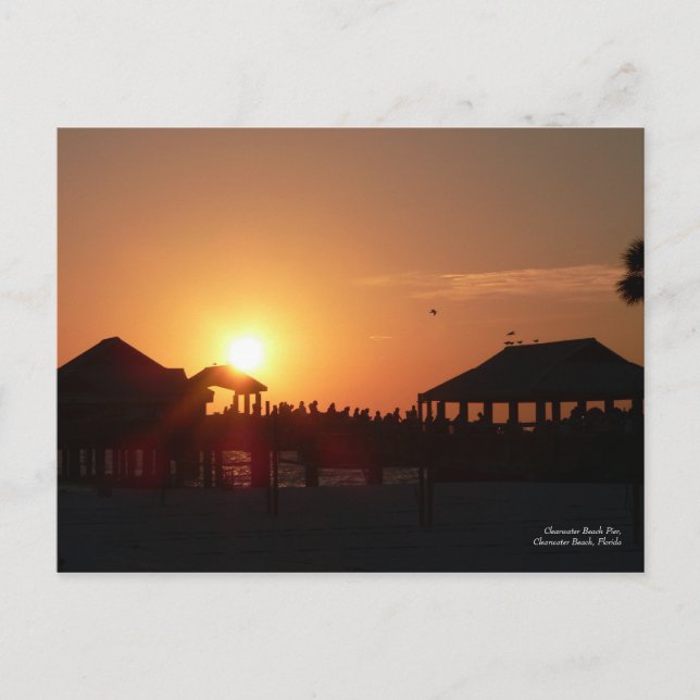 Postal del muelle de la playa de Clearwater (Anverso)