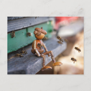 postal del muelle del apicultor de abejas de Acorn