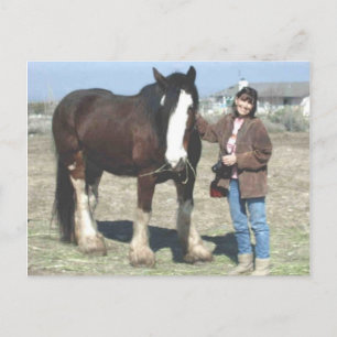 Postal del Mustango-Alcohol