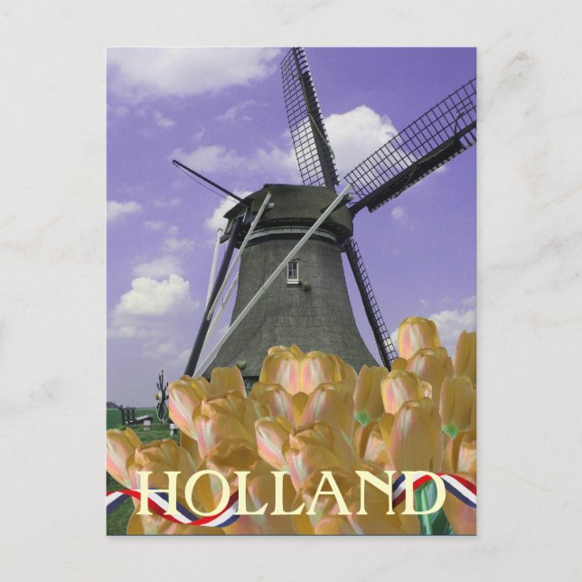 Postal del naranja Tulips Windmill Art Holland (Anverso)
