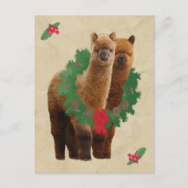 Postal del navidad de la alpaca (Anverso)