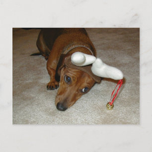 Postal del navidad del Dachshund