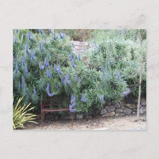 Postal del orgullo de Madeira