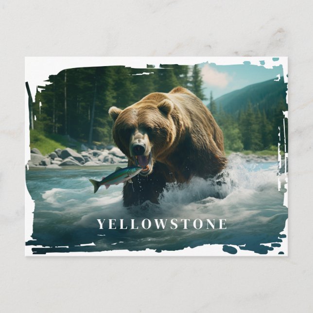 Postal del oso amarillo (Anverso)
