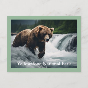 Postal del oso grizzly de piedra amarilla