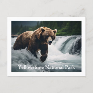 Postal del oso grizzly de piedra amarilla