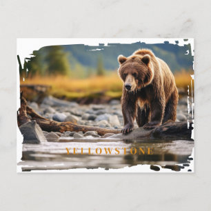 Postal del oso grizzly de piedra amarilla