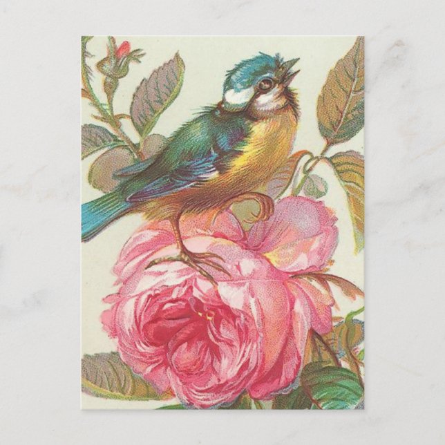 Postal del pájaro del vintage (Anverso)