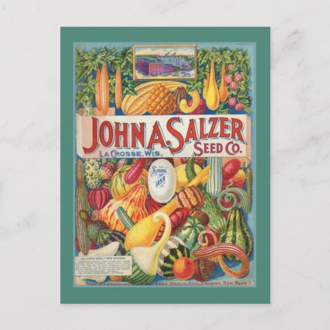 Postal del paquete de la semilla del jardín del (Anverso)