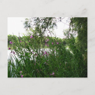 Postal del parque acuático