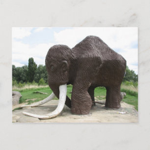 Postal del parque acuático