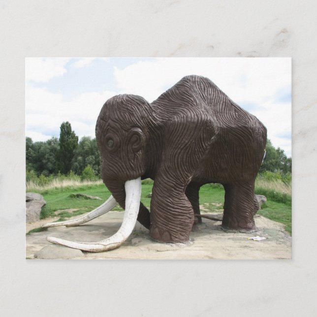 Postal del parque acuático (Anverso)