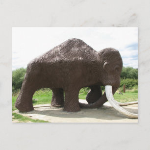 Postal del parque acuático