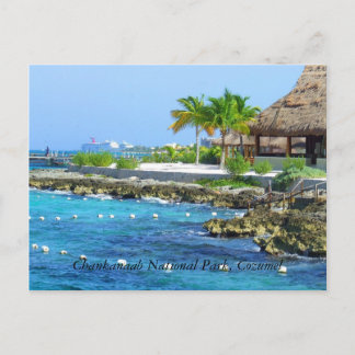 Postal del Parque Cozumel México Chankanaab