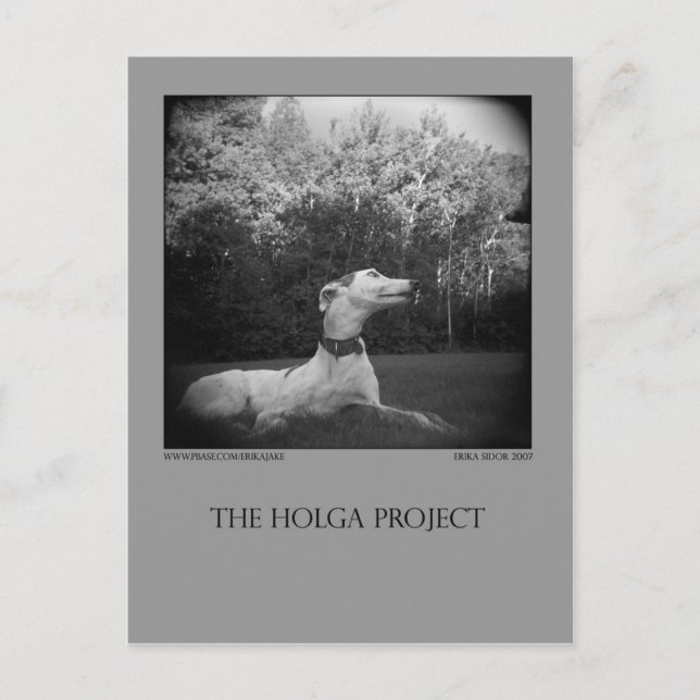 Postal del parque del perro 12 (Anverso)