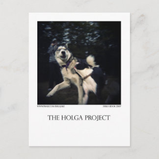 Postal del parque del perro 13