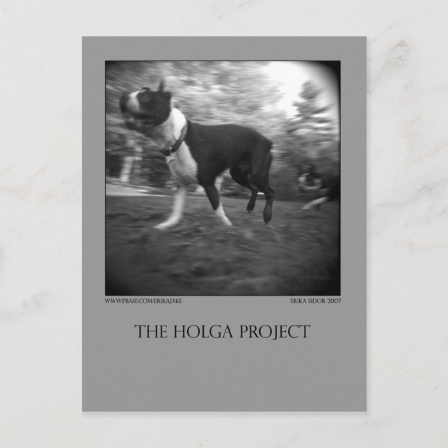 Postal del parque del perro 15 (Anverso)