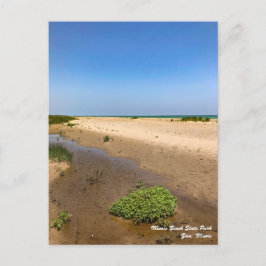 Postal del Parque Estatal de la Playa de Illinois