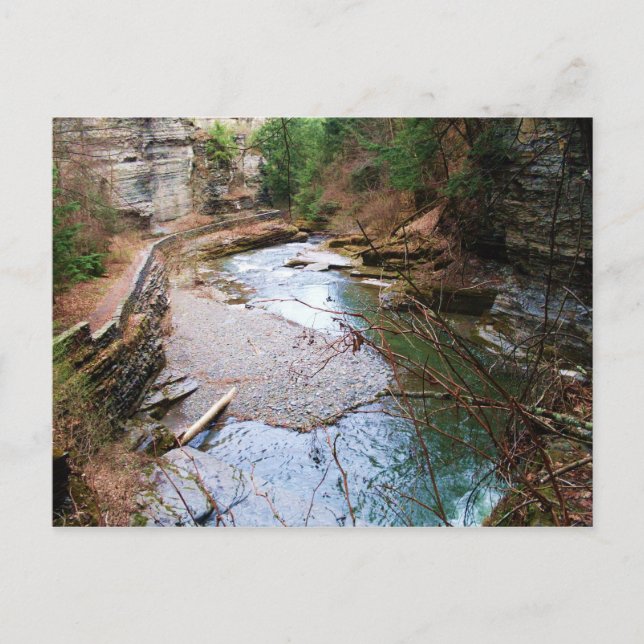 postal del PARQUE ESTATAL TREMAN, ITHACA, N.Y. (Anverso)