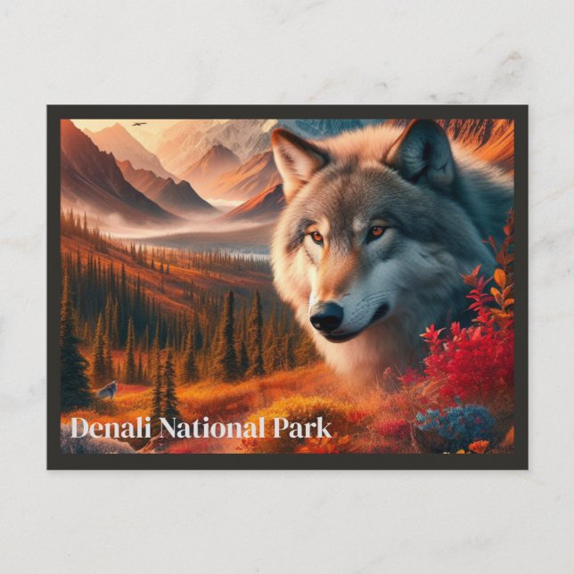 Postal del parque estatal Wolf Sunset Denali (Anverso)