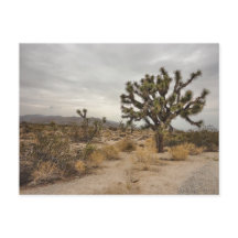 Postal del parque nacional de la yuca