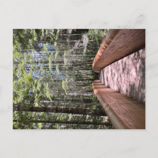 Postal del Parque Nacional de Redwood