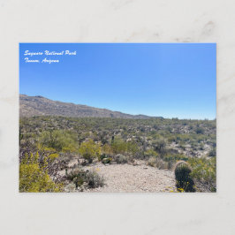 Postal del Parque Nacional de Saguaro