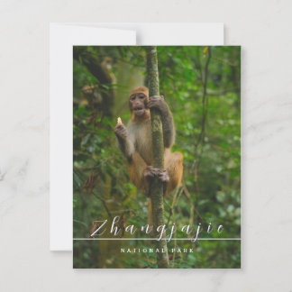 postal del parque nacional de Zhangjajie
