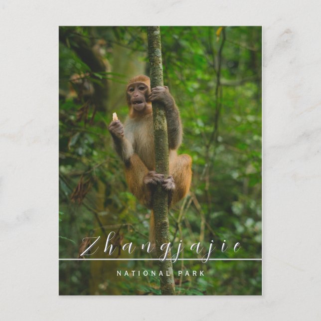 postal del parque nacional de Zhangjajie (Anverso)