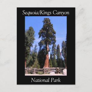 Postal del Parque Nacional del Cañón Sequoia Kings