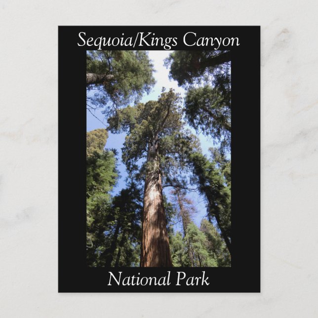 Postal del Parque Nacional del Cañón Sequoia Kings (Anverso)