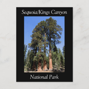 Postal del Parque Nacional del Cañón Sequoia Kings