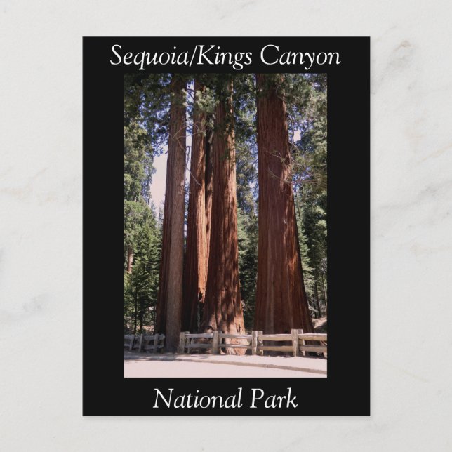 Postal del Parque Nacional del Cañón Sequoia Kings (Anverso)
