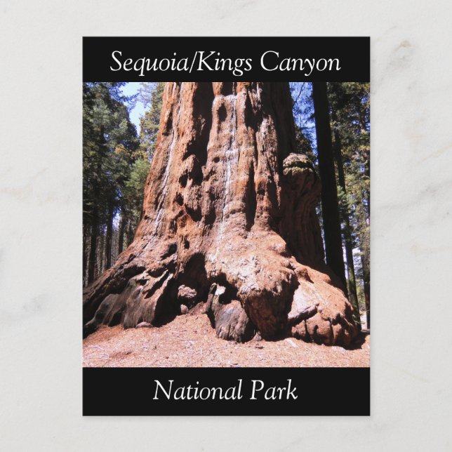 Postal del Parque Nacional del Cañón Sequoia Kings (Anverso)