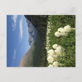 Postal del Parque Nacional Glaciar de Oso
