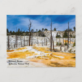 Postal del Parque Nacional Mammoth Springs Yellows