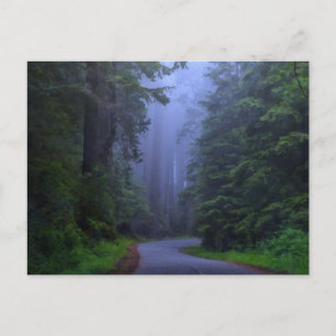 Postal del Parque Nacional Misty Redwood