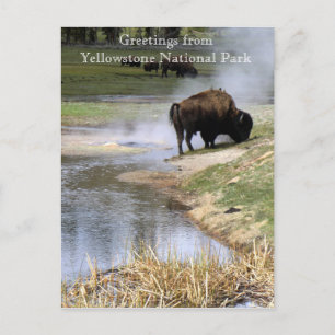 Postal del Parque Nacional Yellowstone