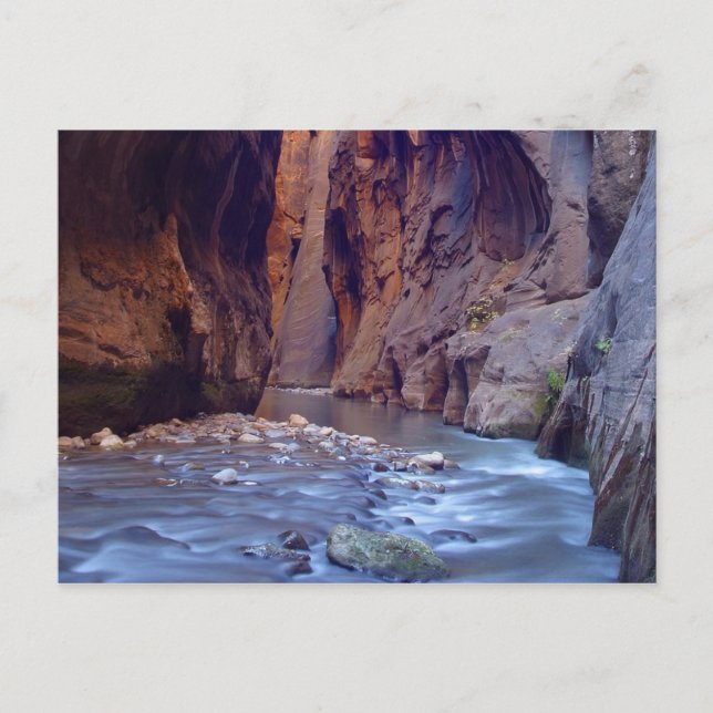 Postal del Parque Nacional Zion Narrows (Anverso)