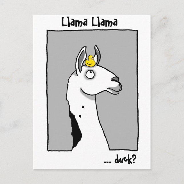 Postal del pato de la llama de la llama (Anverso)