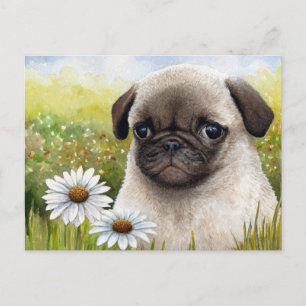 Postal del perro 114