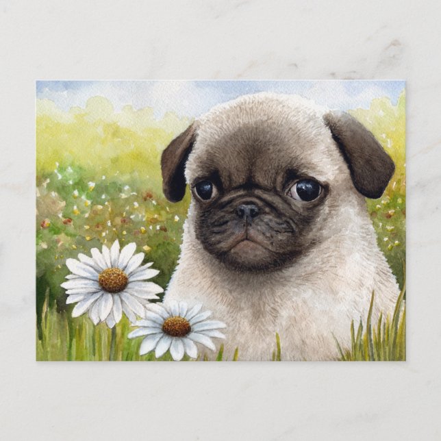 Postal del perro 114 (Anverso)