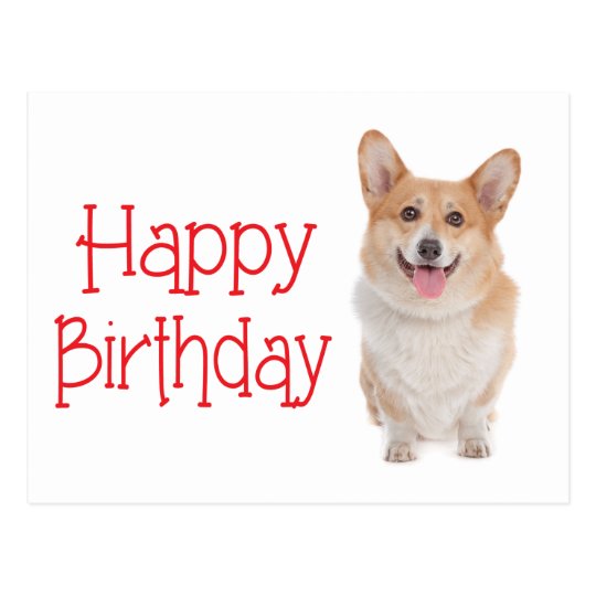 Postal del perro de perrito del Corgi del Pembroke