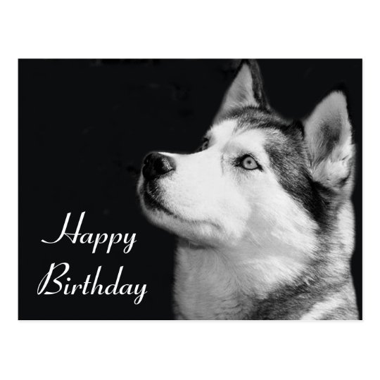 Postal del perro de perrito del husky siberiano
