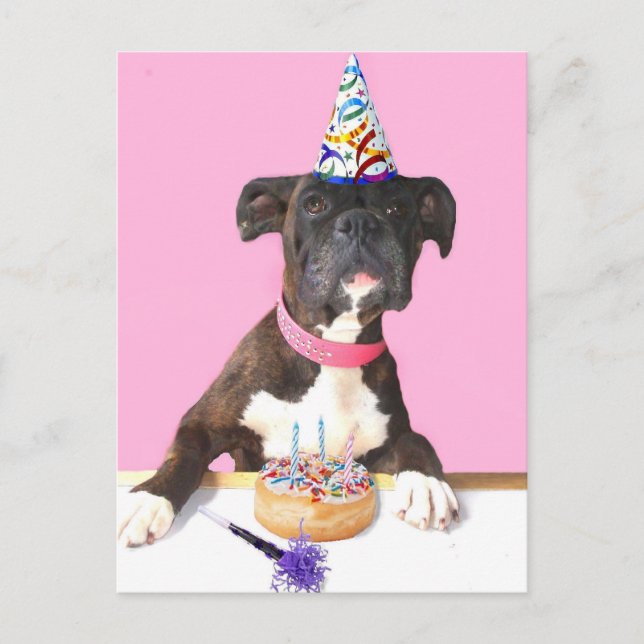 Postal del perro del Boxer de Cumpleaños Feliz (Anverso)
