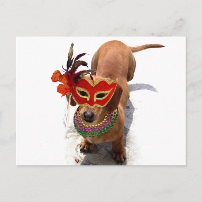 Postal del perro Mardi Gras Dachshund (Anverso)