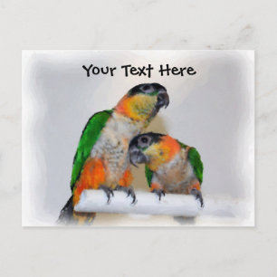 Postal del personalizable de los pares del loro
