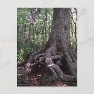 Postal del Personalizado de Artefactos Forestales